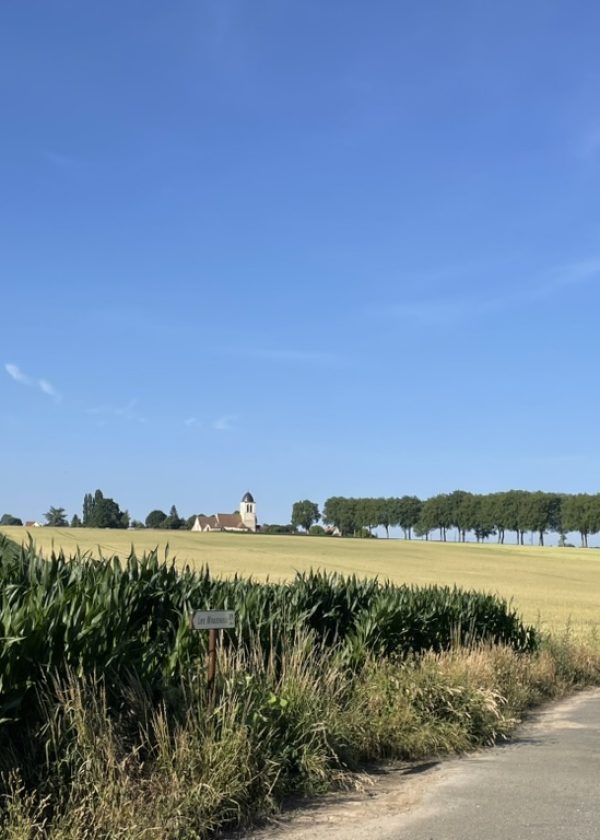 1079c2a7 ad4c 4169 8855 dbe1a7953af0 1 105 c